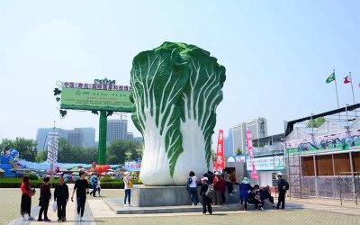 戶外廣場大型景觀玻璃鋼彩繪大白菜雕塑