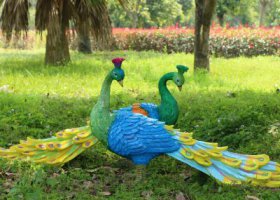 公園草坪兩只相對(duì)的玻璃鋼彩繪孔雀雕塑