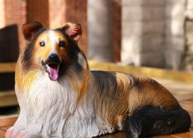 室內創意玻璃鋼仿真動物景觀狗雕塑