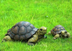 戶外草坪玻璃鋼仿真動物烏龜雕塑